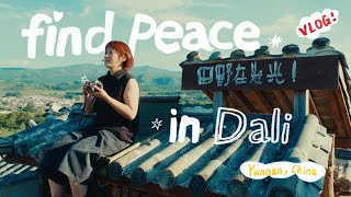 Dali Diary | Meet New Friends in Shaxi \u0026 Explore the Ancient Town Together