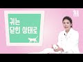 ＜ 05편＞고양이 목욕 5분만에 끝내는 초보집사 꿀팁★