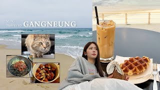 vlog. 혼자 떠난 1박 2일 강릉 여행🌊 | 예쁜 숙소 | 분좋카 | 맛집 | 주문진해변