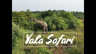 Katharagama | Yala Safari | Sri Lanka