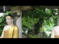 visiting a wonderful white marble buddha pagoda yangon myanmar 🇲🇲 kyauk taw gyi pagoda