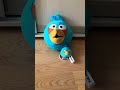 Маленькое vs большое.Выпуск angry birds 🦅 ￼ shorts angrybirds