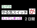 【ときどき金魚】６７歳の日常　no.７９　【博多帯から竹刀袋】スイッチが入って…即…完成‼️ 【家にある材料で出来ました】 ハンドメイド　 金魚　 着物リメイク　 帯のリメイク　 竹刀袋