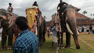 Kuzhur Ekadashi Maholsavam 2022 | Mangalamkunnu Ayyappan | Puthuppally Sadhu