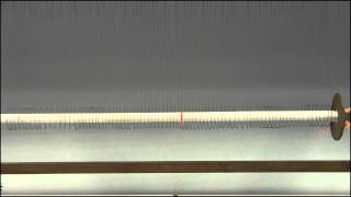 Longitudinal Wave on a Spring