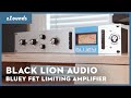 Black Lion Audio Bluey  | zZounds