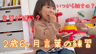 【Vlog】言葉の遅れ？2歳6ヶ月 言葉の練習