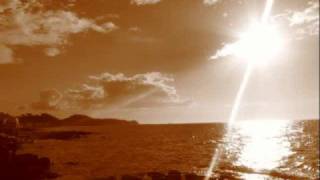 The Gentle Waves - Falling from Grace (Lyrics)