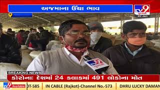 Jamnagar's Hapa market yard witnesses huge inflow of parsley| TV9News