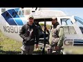 how do american hunters and farmers deal with million of wild boar by helicopter farming documentary