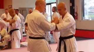 Taira Bunkai Seminar in Matawan, New Jersey April 2014 (Clip 7 of 7)