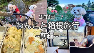 【Vlog】わんこと箱根旅行2泊3日の旅~前編~