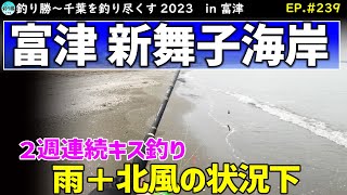 EP.239【千葉内房キス釣り】２週連続の新舞子海岸でキスの到来を調査