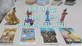 타로- 도대체 뉴페는 언제 나타날까? (성향, 이미지)