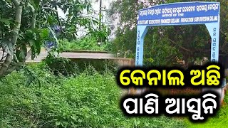 କେନାଲ ଅଛି ପାଣି ଆସୁନି || Dinanka TV