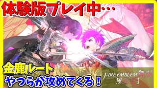 ⚔ファイアーエンブレム無双 風花雪月【金鹿ルート_体験版を遊びつくせ】