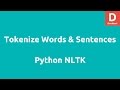 Tokenizing Words Sentences with Python NLTK
