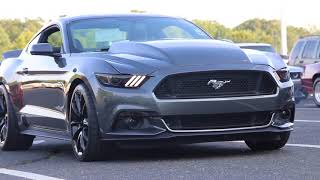 BEST MUSTANG MOMENTS!!!!