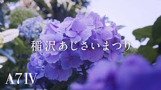 Sony A7IV \u0026 SEL40F25G 動画作例 / 稲沢あじさいまつり/ Travel Video