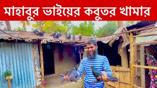 মাহাবুর ভাইয়ের কালো জাগ কবুতর খামার  || রাজশাহী গিরিবাজ কবুতর || Giribaj Kobitor