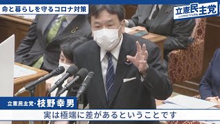 【命と暮らしを守るコロナ対策】衆議院予算委員会 枝野幸男 4.28