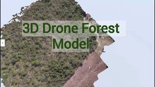 3D Forest Drone Map -   Ecodrone WWF - Cerrado - Goiás Velho