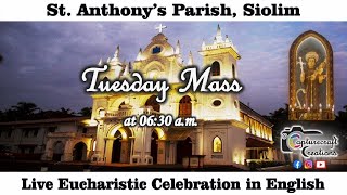 Tuesday English Mass Live at 6.30am, 28th Jan 2025 | St Anthony's Church Siolim