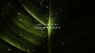 GROUNDED IN HIM // Instrumental Worship Soaking in His Presence