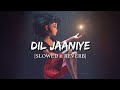 Dil Jaaniye [Slowed + Reverb] - Jubin Nautiyal & Tulsi Kumar | Smart Lyrics