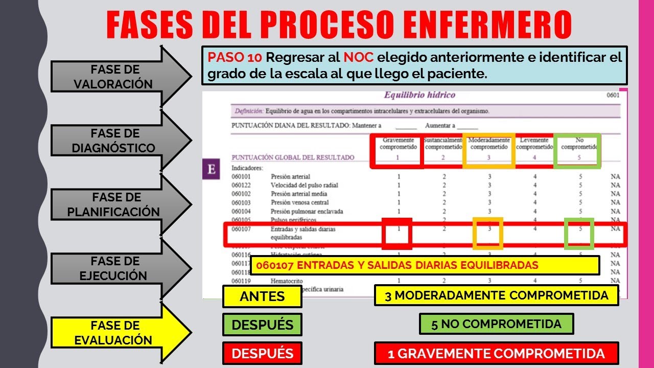 🌟PROCESO ENFERMERO (Fase De Evaluación)🌟 - YouTube