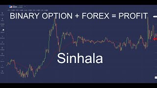 Forex Sinhala Videos 9tube Tv - 