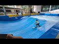 learning to ride the standing waves at citywaves with Trifecta