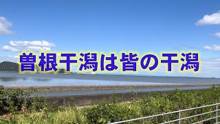 【MV】曽根干潟は皆の干潟 新映像