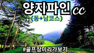 #84,⛳️양지파인 18홀(동+남코스),🛑코스분석