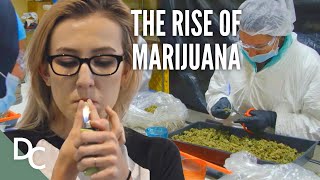 An Inside Look at America's Marijuana Industry | Marijuana Business | Documentary Central