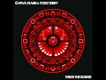 Todd Terry, Riva Starr - This Is The Sound (Original Mix)