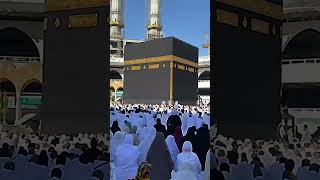Hasbi Rabbi | Allah Ho Allah - Sami Yusuf #naat #ramadan #shorts #viral #hasbirabbi #makkah #short