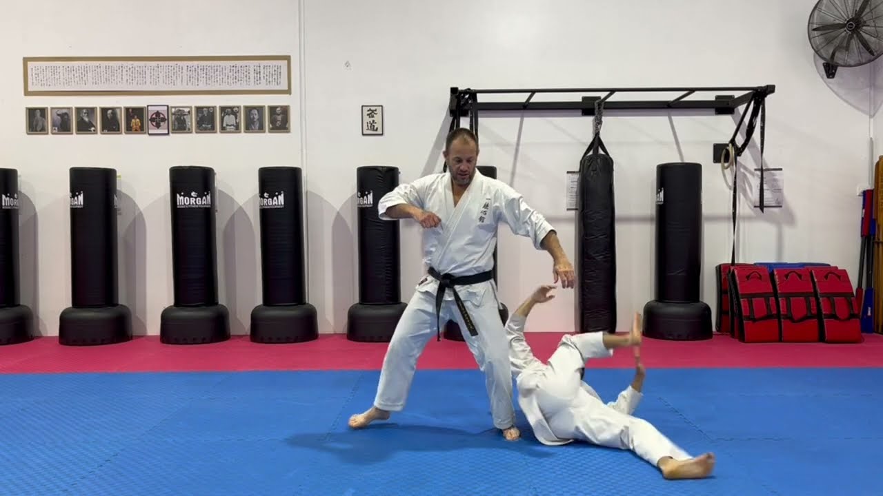 Heian/Pinan Nidan Kata Bunkai - Opening Sequence [Clinch To Takedown ...