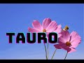 TAURO♉🐂ALGO QUE INTUÌAS! VIAJE DESEADO! TE NECESITA!♥️🥰