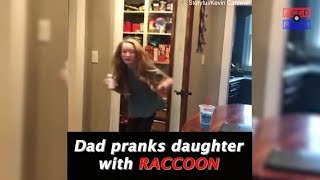 Dad pranks daughter with RACCOON