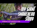 THE GIANT SNAKEHEAD ON SHIMANO CURADO 300