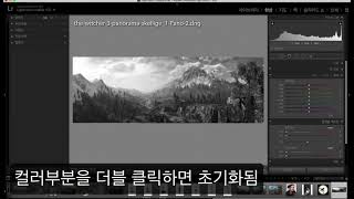 라이트룸 52강 흑백사진 톤 조절하기