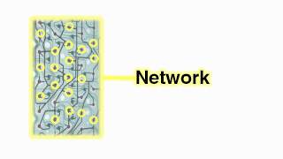 How To Build Your PLN (Professional Learning Network)
