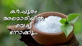 കർപ്പൂരത്തിന്റെ ഉപയോഗങ്ങൾ||Camphor benefits/uses.