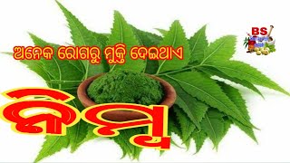 ନିମ୍ବ ଗଛର ଔଷଧୀୟ ଗୁଣ// benefits of using neem// Bs Ashan Ayurvedic Aushadhi