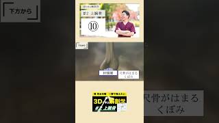 ＃2 上腕骨【3Dで学ぶ解剖学】絶対に間違えない肘の覚え方を紹介！　#上腕骨 #解剖学