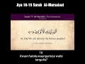 Aya 16-19 Surah Al Mursalat