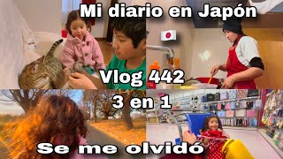 Mi diario en Japón 🇯🇵/ gastos inesperados/mamà de tres/family vlogs