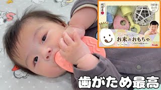 歯がためをめっちゃ気に入ったご様子の赤ちゃん【おもちゃ紹介】