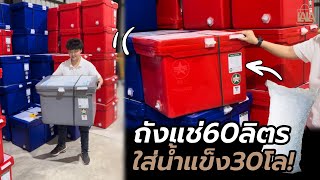 ถังแช่60ลิตร ใส่น้ำแข็งได้30โล ? น้ำแข็ง1กระสอบพอดีไหม? | lalashopth